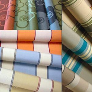 Toiles et coloris Dickson store banne